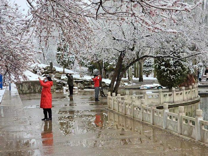 阿拉善迎来4月“桃花雪”