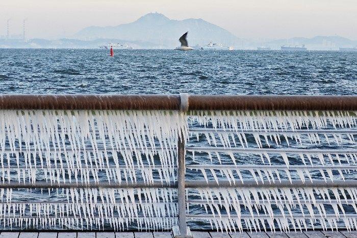 辽宁大连开启冰冻模式 海岸护栏挂冰棱