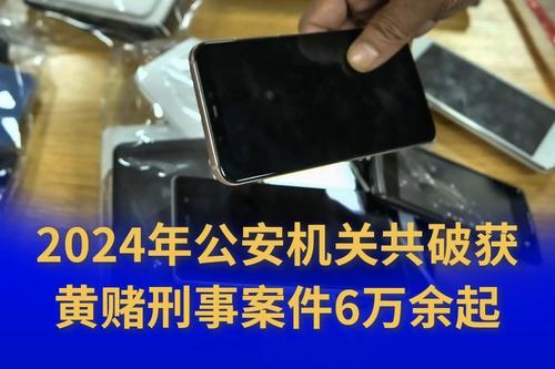 2024年公安机关共破获黄赌刑事案件6万余起