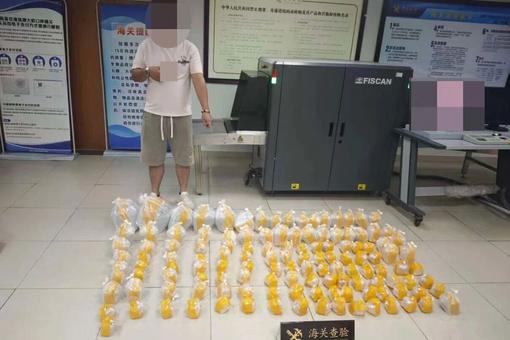 拱北海关查获一起跨境司机走私192条观赏鱼进境案